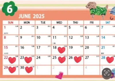 6月後半の予定です?
