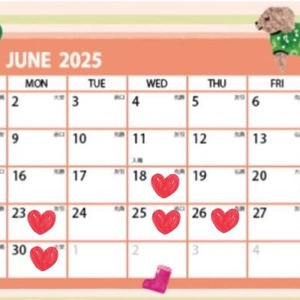 ６月後半の予定です?