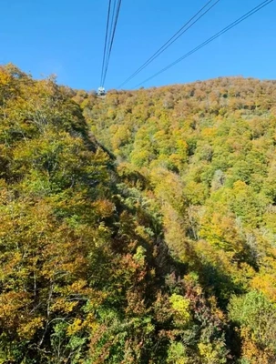 紅葉?第２弾〜