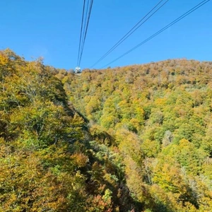 紅葉?第2弾〜
