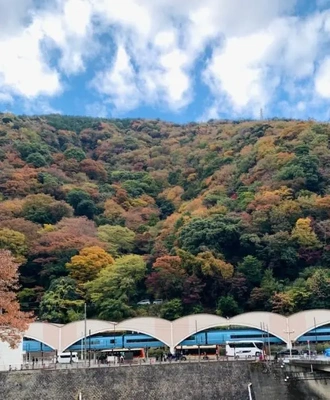 昨日も有難う??