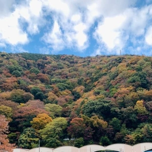 昨日も有難う??