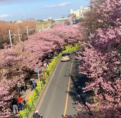 本日も感謝