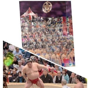 ★初場所★.*