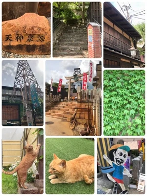 強烈濃厚温泉!????♀????