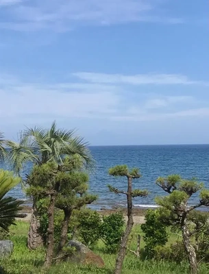 館山から富士山???♪?♪
