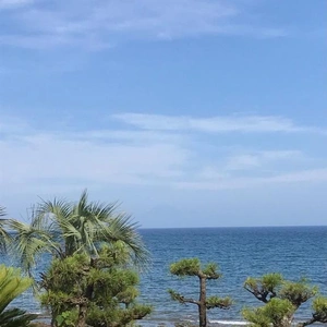 館山から富士山???♪?♪