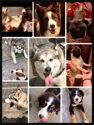 11月11日わんわんわんわん♪?