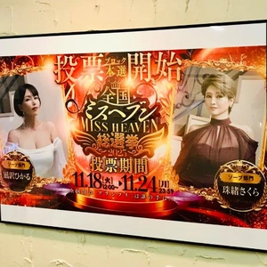 11月18日からポチ活デスヨ♪?