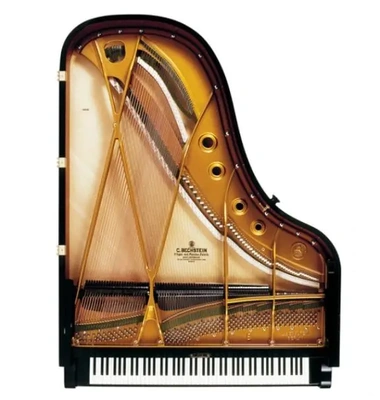 ガーンごめんなさい!?