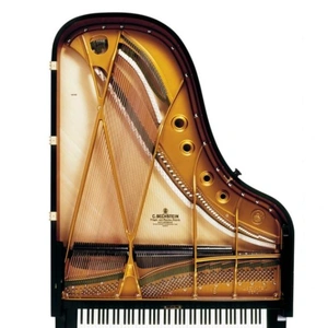 ガーンごめんなさい！?