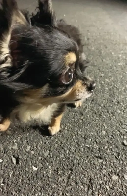 こんばんは