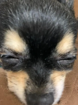 こんばんは