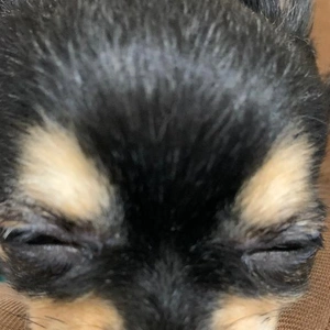 こんばんは