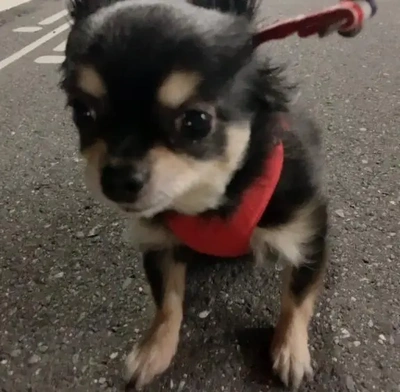 今日のお天気