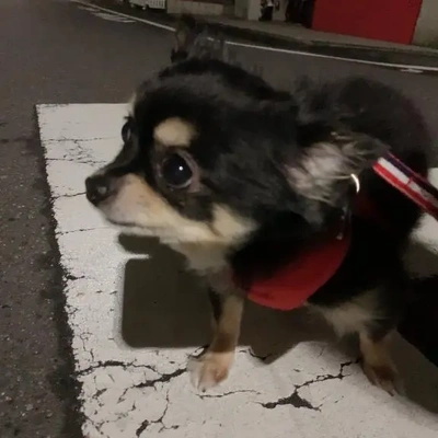 ラストまで