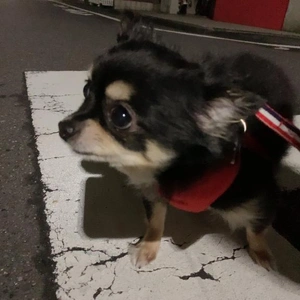 ラストまで
