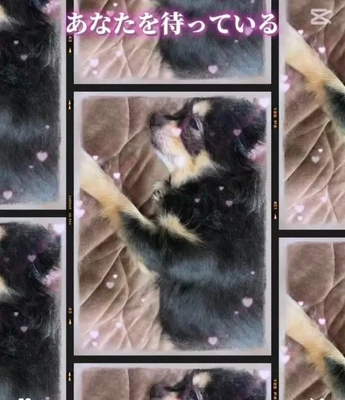 こんにちは