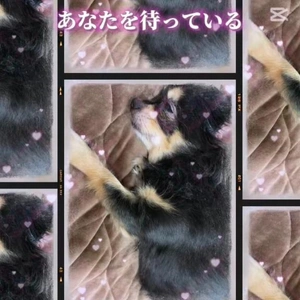 こんにちは