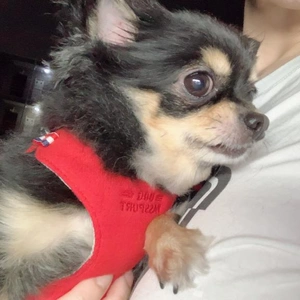 当月したよ