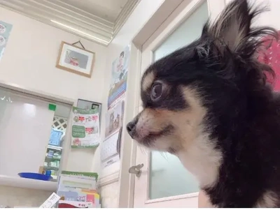 明日から出勤します