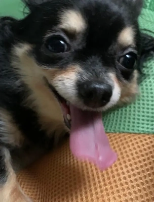 本指名様へ