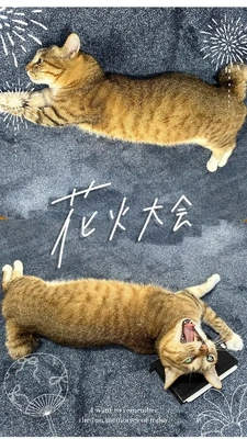 寄り道しようっと?