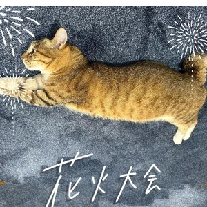 寄り道しようっと?