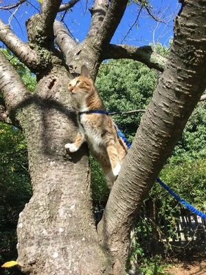 ぬくもりのことば