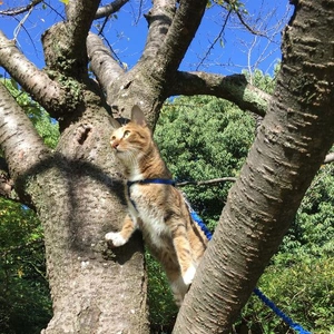 ぬくもりのことば