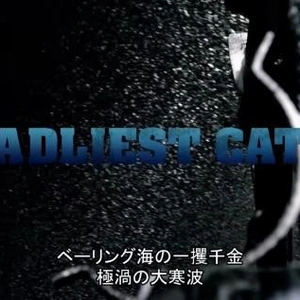 真冬にオススメといえば……！