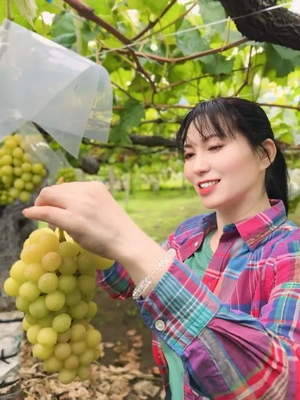 山梨ぶどう狩り