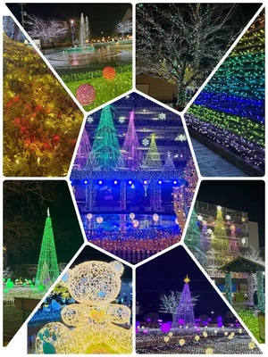 ケーキの代わりに、光を見に