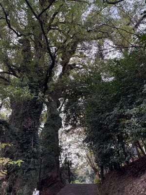 やっと、胸のつかえが落ちた日