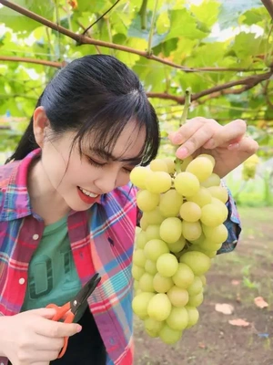 2025年振り返り日記｜9月