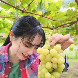 2025年振り返り日記｜9月