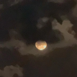 おかえりドライブ日記