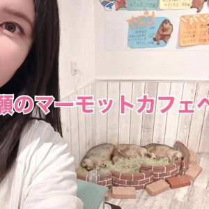 うひひ?