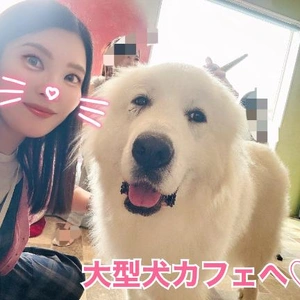 もふもふ?
