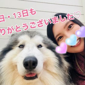 12日・13日の御礼?