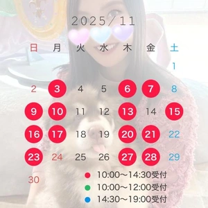 11月