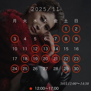 11月最新