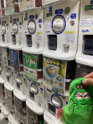 今日はお休み♪