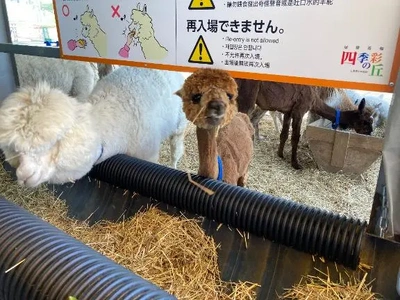 早かった?