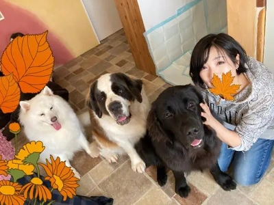 先日の大型犬cafe?