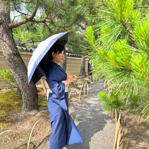 ポカポカいい天気