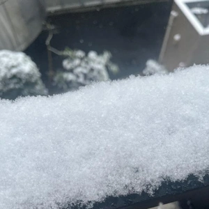 雪だ！