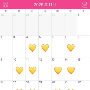 11月 出勤スケジュール