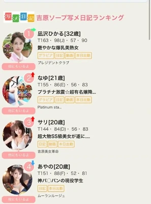 写メ日記アクセスランキング