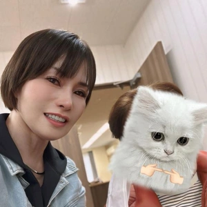 感動かと思いきや